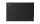 43.9cm(17.3")Lenovo TP P17 G1