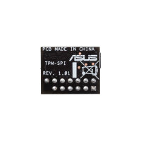 ASUS TPM-SPI bulk
