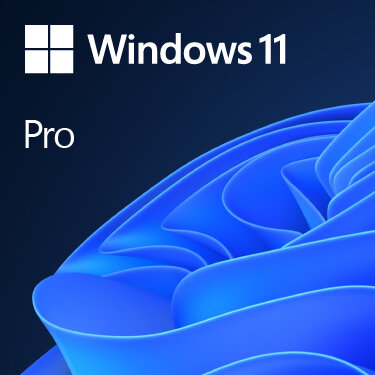 MS Windows 11 Pro 64bit DVD
