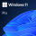 MS Windows 11 Pro 64bit DVD