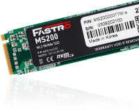 2TB MEGA Electronics Fastro M2