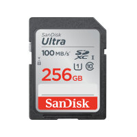 256GB SanDisk Ultra R100 SDXC