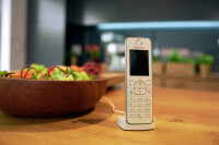 FRITZ!Fon C6 International