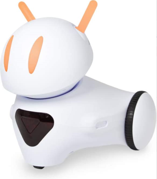 Primo Toys Robot Home Edition