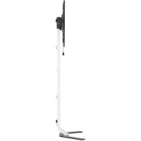 Techly TV Standfuß Super Slim LCD/LED/PlasmaTV 32-70