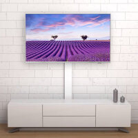 Techly TV Standfuß Super Slim LCD/LED/PlasmaTV 32-70