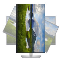 68.6cm (27") Dell P2723QE IPS 4K Ultra HD GLAN Pivot Blaulichtfilter Lift