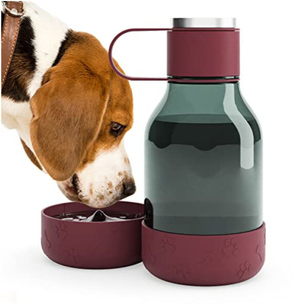 Asobu Dog Bowl 1.5l Flasche
