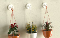 Fischer GOW Klebehaken