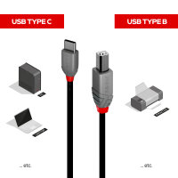 LINDY 0.5m USB 2.0 Typ C an B Kabel, Anthra Line