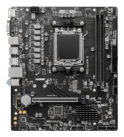 MSI Pro A620M-E                      (A620,AM5,mATX,DDR5)