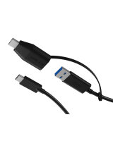 USB Adapterkabel IcyBox USB3.2(Gen2) Type-C zu Type A&C 35cm