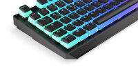 Endorfy Thock Pudding PBT LEDs