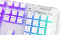 Endorfy Omnis Pudding Onyx White PBT ARGB Kailh RED USB Gaming Keyboard