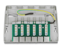 DELOCK Mini Desktop Patchpanel 6 Port Cat.6A grau
