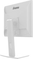 48cm(19")Iiyama B1980D-W5