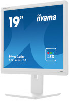 48cm(19")Iiyama B1980D-W5