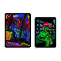 Apple iPad Pro 12.9" 6.Gen 5G