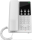 Grandstream GHP620 white IP-Telefon Weiß 2 Zeilen LCD WLAN