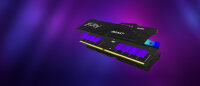 32GB Kingston DDR5-6000 Kit