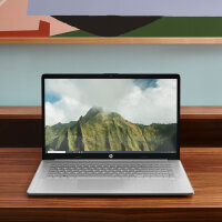 HP 17-cn3174ng Intel® Core™ i7 i7-1355U Laptop 43,9 cm (17.3") Full HD 16 GB DDR4-SDRAM 512 GB SSD Wi-Fi 6 (802.11ax) FreeDOS Silber