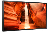 Samsung Smart Signage OM55N-S  139,70cm(55") Deal...