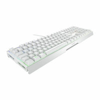 Cherry Xtrfy MX 3.1 RGB Gaming Keyboard MX2A Red USB...