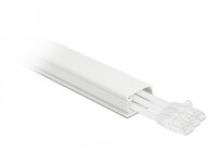 DELOCK Kabelkanal mit Deckel selbstklebend 22x15mm, 1m...