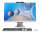 ASUS A3402WVAK-WPC179W Intel® Core™ i5 i5-1335U 60,5 cm (23.8") 1920 x 1080 Pixel All-in-One-PC 16 GB DDR5-SDRAM 512 GB SSD Windows 11 Home Wi-Fi 6 (802.11ax) Weiß