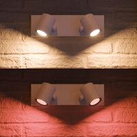 Philips Hue White and Color ambiance Argenta Zweierspot weiß