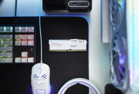 Kingston Technology FURY Beast 32GB 6000MT/s DDR5 CL30 DIMM (2er-Kit) White RGB EXPO