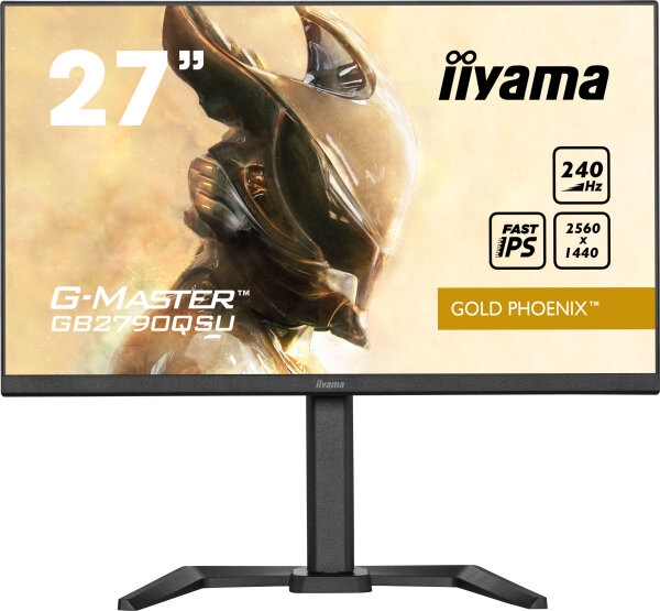 68.6cm(27")Iiyama GB2790QSU-B5 240Hz Gold Phoenix
