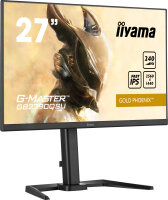 68.6cm(27")Iiyama GB2790QSU-B5 240Hz Gold Phoenix