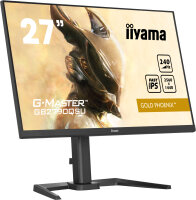 68.6cm(27")Iiyama GB2790QSU-B5 240Hz Gold Phoenix