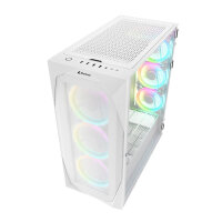 Sharkoon Gehäuse REV300             ATX/E-ATX 2xGlas weiß