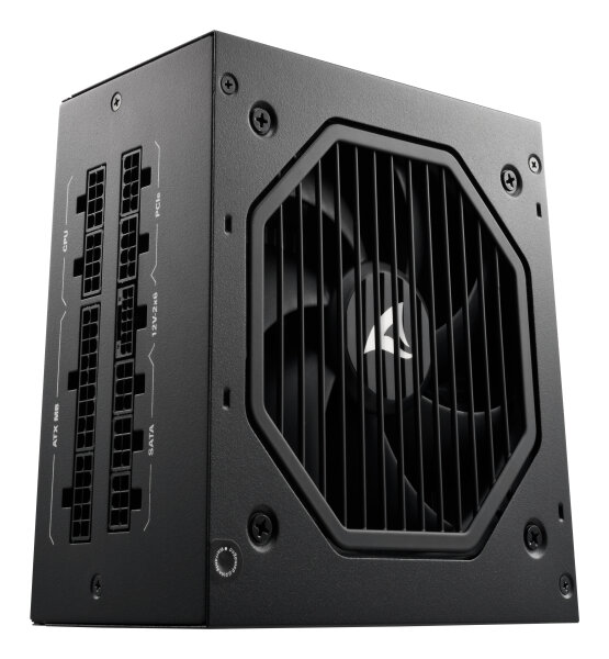 Sharkoon Rebel P20 Netzteil 850 W 24-pin ATX ATX Schwarz