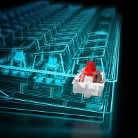 Sharkoon Skiller SGK50 S4 White LEDs RGB Kailh KT RED 60% QWERTZ USB Gaming Tastatur Keyboard