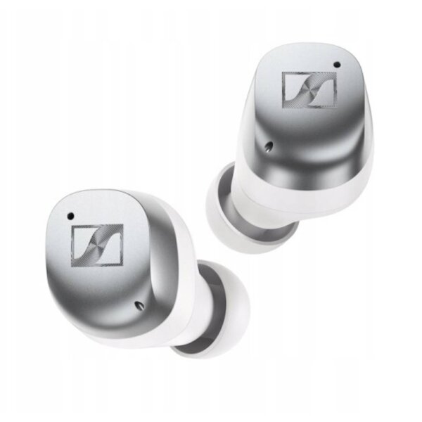 Sennheiser Momentum True