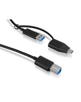 USB Adapter IcyBox USB 3.2 (Gen 1) Type B zu Type A & Type C