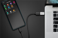 Goobay 56620 Kabeladapter USB C USB A Silber