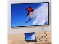 Equip USB-C-zu-DisplayPort-Premium-Kabel, M/M, 2.0 m, 4K/60 Hz