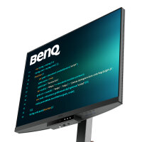 BenQ 71,6cm RD280U     3:2  HDMI/USB-C/DP sil. lift/piv  UHD