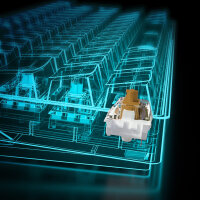 Sharkoon SGK50 S4 Tastatur Gaming USB QWERTZ Deutsch Schwarz