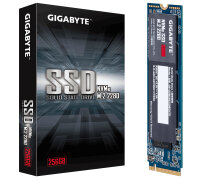 256GB Gigabyte M.2 NVMe