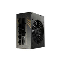 850 Watt FSP Fortron Dagger Pro ATX 3.0 PCIe 5.0 SFX 3.0 vollmodular 80 PLUS Gold