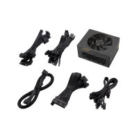 850 Watt FSP Fortron Dagger Pro ATX 3.0 PCIe 5.0 SFX 3.0 vollmodular 80 PLUS Gold