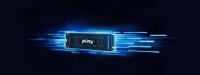 1TB Kingston FURY RENEGADE M.2 NVMe