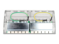DELOCK Mini Desktop Patchpanel 12 Port Cat.6A grau