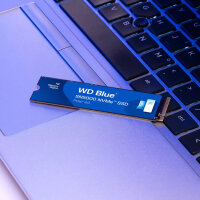 500GB WD Blue SN5000 M.2 NVMe