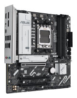 ASUS PRIME B840M-A-CSM mATX